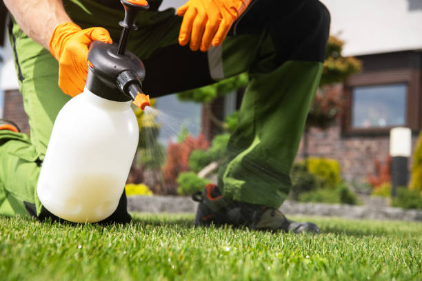 Best Pest Control Near Me in Many, LA