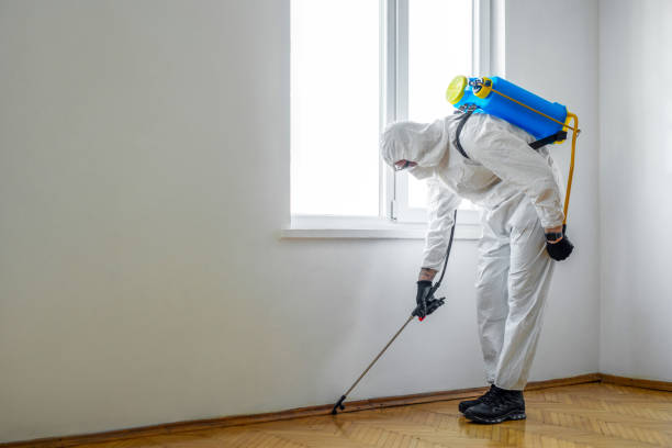 Best Pest Removal Services  in Many, LA