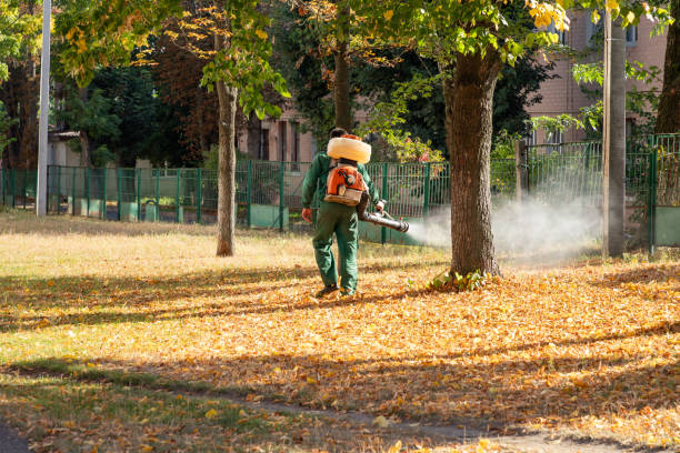 Reliable Many, LA Pest Control Solutions